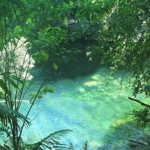 忠诚 loyalty  (phonk电音版)