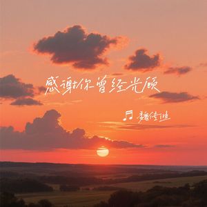 感谢你曾经光顾