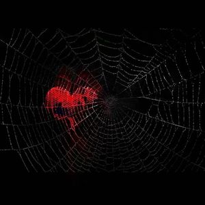 true love（prod by Rex4Ca$h）