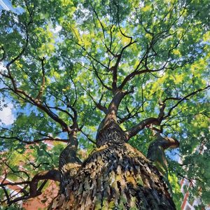 达瓦力氏，你好 2.0