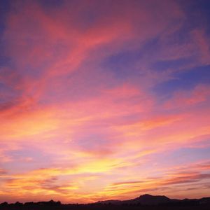 爱在初春的细雨中