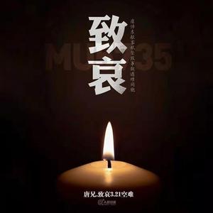 红色的希望(致哀3.21空难)(采音清唱版)