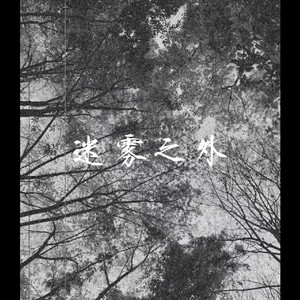 迷雾之外