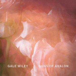 Guns of Avalon