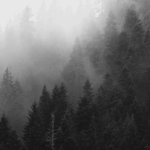 原来最痛的失去