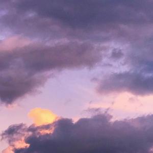 煨酒忽忆旧关河