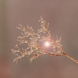 따뜻한 집 밖의 눈폭풍의 노래 ASMR