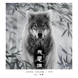 我是谁（《狼殿下》主题曲）（翻自 群星）