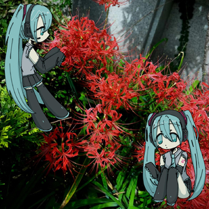 憎しみをもっても Even If Us Hold Hatred