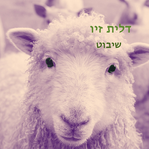 שיבוט