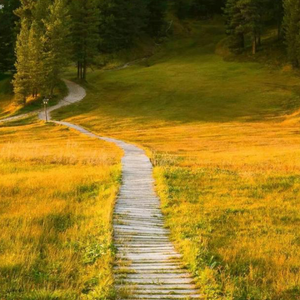 无聊的游戏DJ（电子琴版）