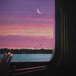 夏天的那些花儿