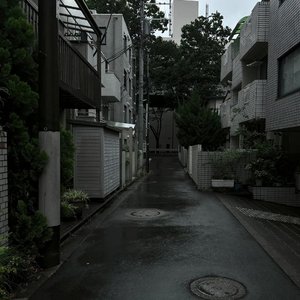 专属频道