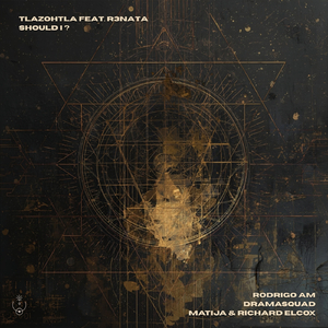 Should I? (Rodrigo AM Remix)