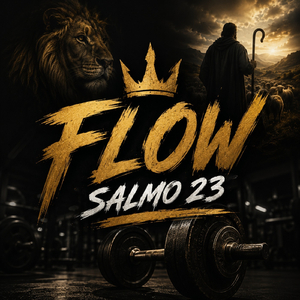 Flow Salmo 23
