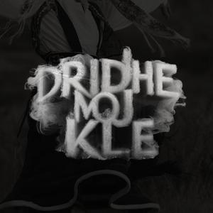 DRIDHE MOJ