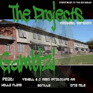 The Projects (Midwest Version)