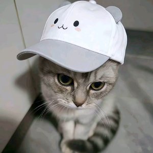 不懂离别的重量