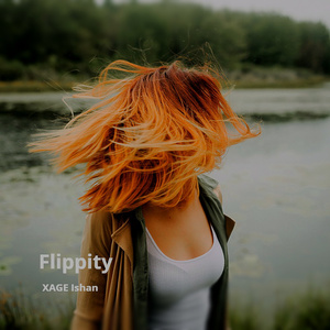 Flippity