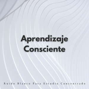 Antecedentes De Sesión De Estudio