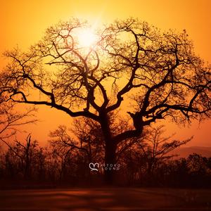 Maiduguri (feat. Din BEATS, Kanda Beats & Kitoko Saxophone)
