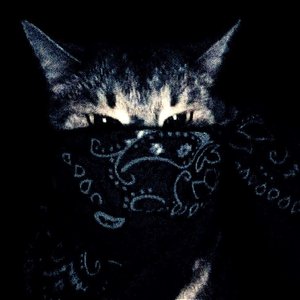 Montagem Marshmallow - Alone