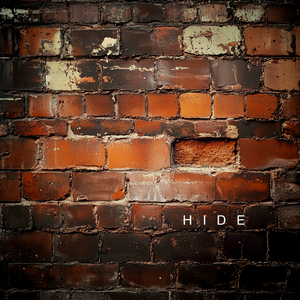 Hide
