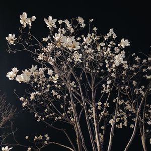 当地皮鞋 prod.by Riven77 & Mov & orangepeel