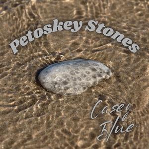 Petoskey Stones