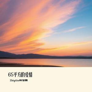 65平方的爱情 (Cover 烟 (许佳豪))