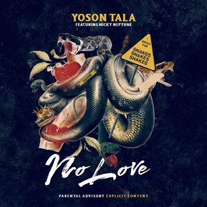 No Love (feat. Nicky Neptune)
