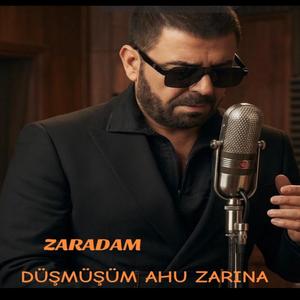 Düşmüşüm Ahu Zarına
