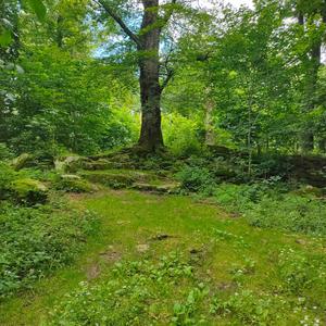 zůstaň (reggae Version)