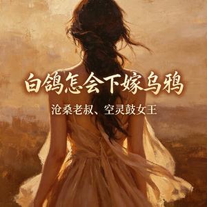 白鸽怎会下嫁乌鸦(DJ空灵鼓)