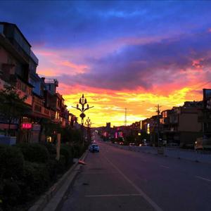 双柏话事(Sweet.Baby.City)