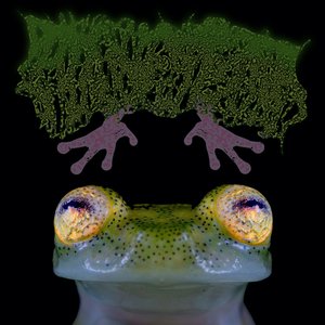 Murkwaters Deep