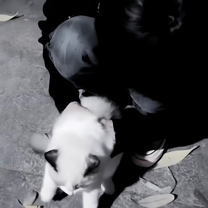 我可以接受你的所有