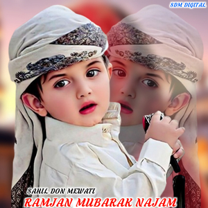 SAHIL DON MEWATI (ORGINAL)