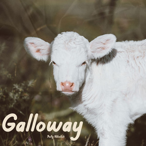 Galloway