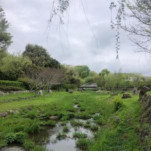 cleo (feat. kyra & seph)