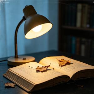 独处频率（没遇到同频的人真的没关系）