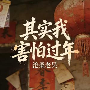 其实我害怕过年