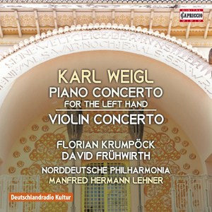 Piano Concerto for the Left Hand in E-Flat Major:III. Rondo: Allegro
