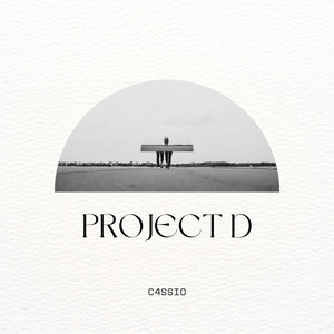 Project D