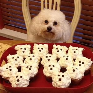 off white (feat. 14cellar)