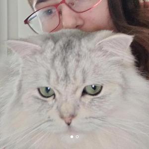 Dipende
