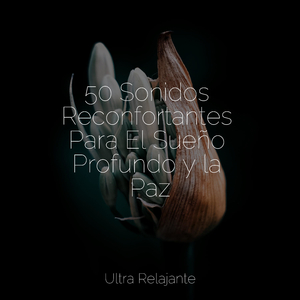 Amable