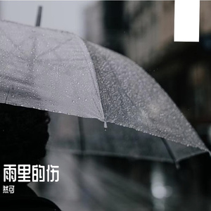 雨里的伤