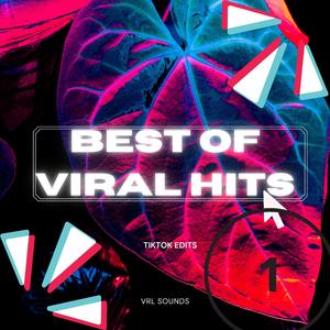Best Of Viral Hits 1 (TikTok Edit) (Remix)