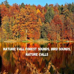 Calm Rolling and Rocking